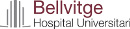Bellvitge Hospital Universitari