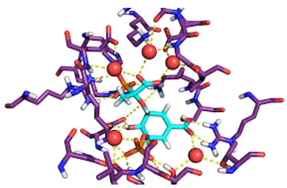 Molec Interactions 2