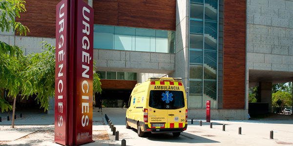 Emergency-and-Emergent-Processes Emergency-and-Emergent-Processes