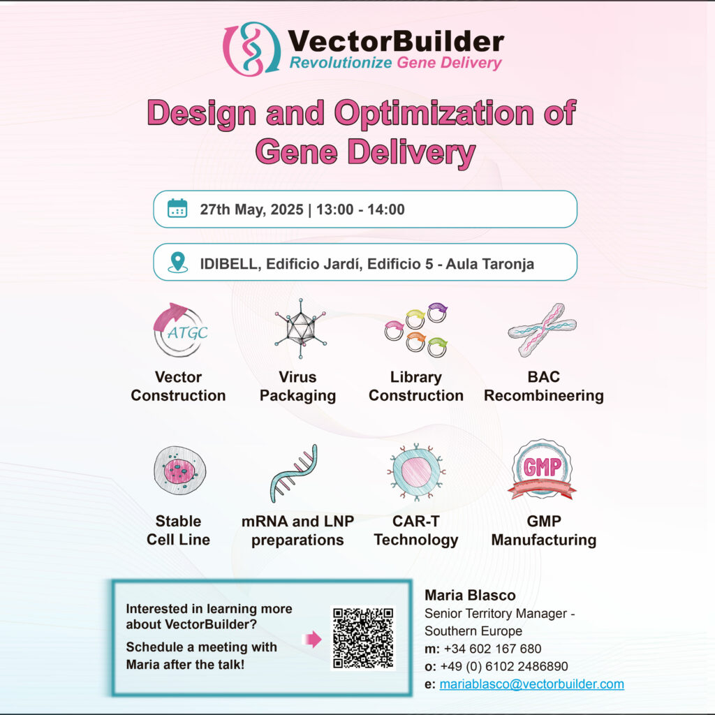 Seminario-VectorBuilder