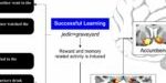 20160927_Fornells_eLife 20160927_Fornells_eLife