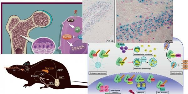 403senyalitzaciocelularbiologiaos