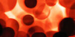 Hematopoietic-Stem-Cells Hematopoietic-Stem-Cells