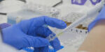 NO53 - Fabregat_Cell Death Disease - Imatge NO53 - Fabregat_Cell Death Disease - Imatge