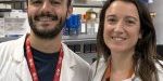 Polimerases Valle NOTI