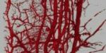 Sinapsis-ALlobet_1196206075