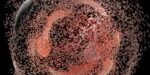 cell-death (1)