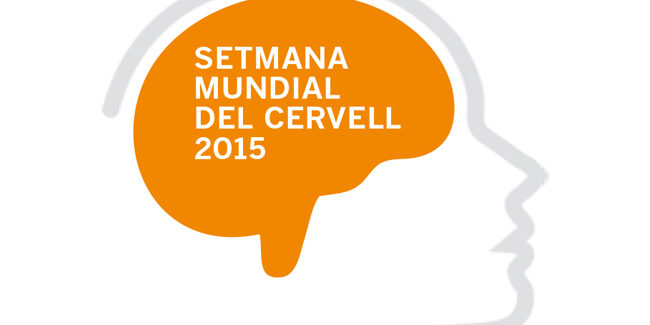 cervell_escolab