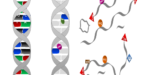 fig_cell_esteller fig_cell_esteller