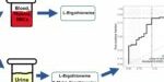 graphical abstract_antioxidants graphical abstract_antioxidants