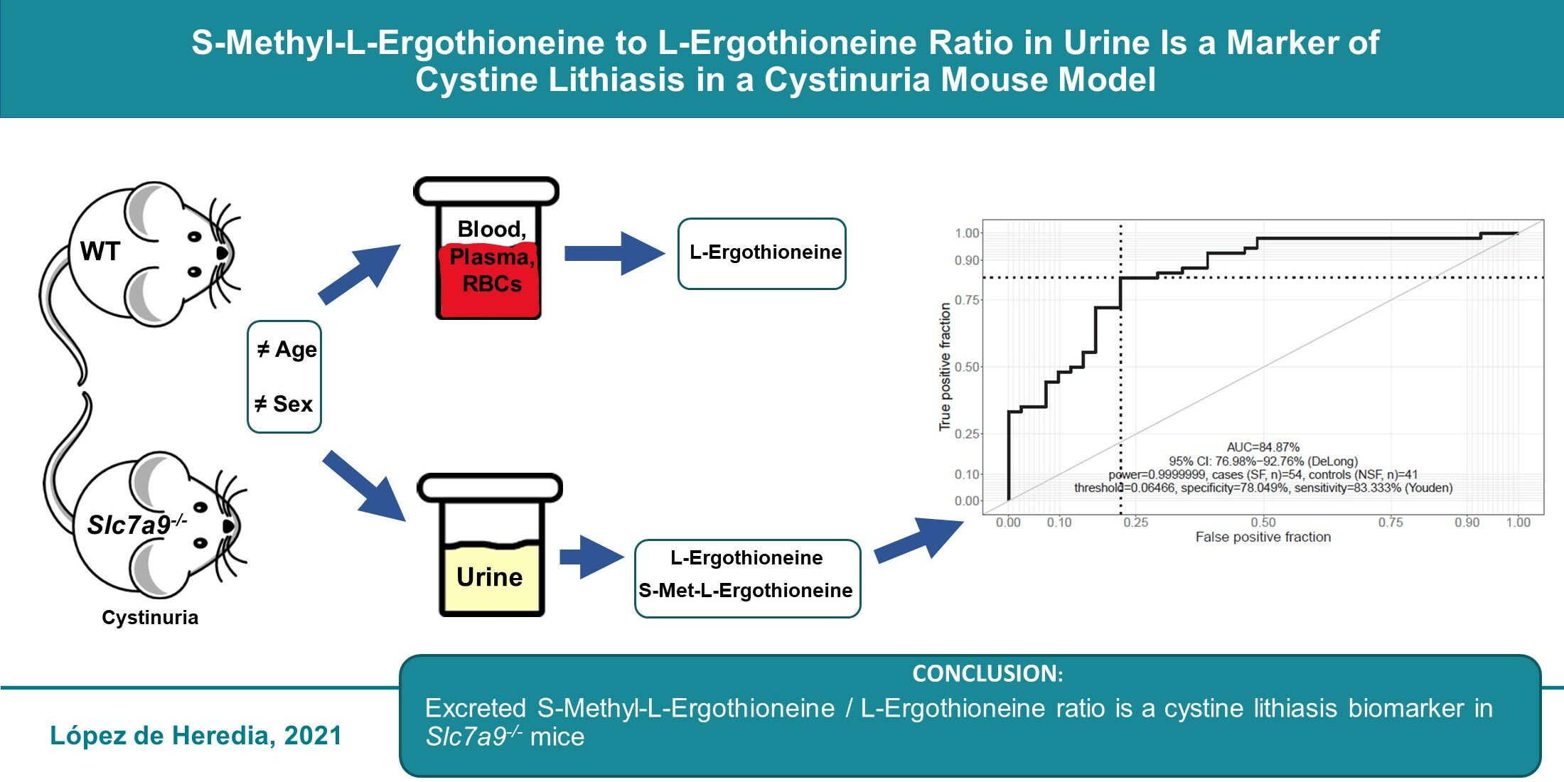 graphical abstract_antioxidants