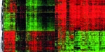 heatmap_egs