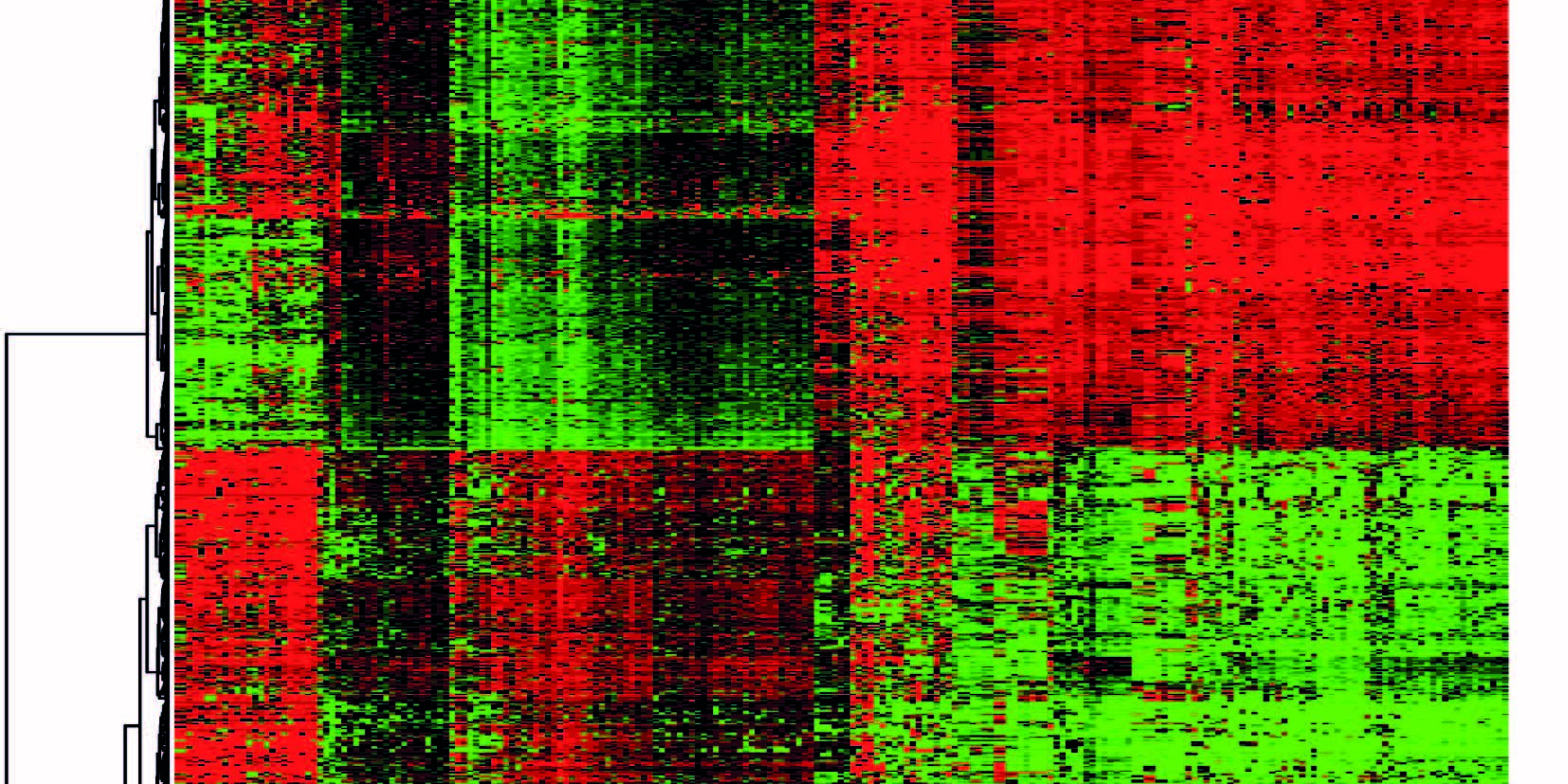 heatmap_egs