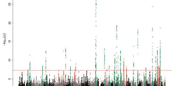 novel_common_genetic_susceptibility_loci_for_crc_jnci_2019_henar_gruber