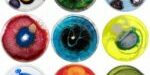 petri-dishes