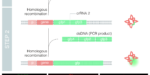 recurso_nested_crispr