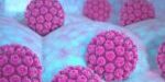 virus-papiloma-huma-foto.jpg_1473246532 (1)