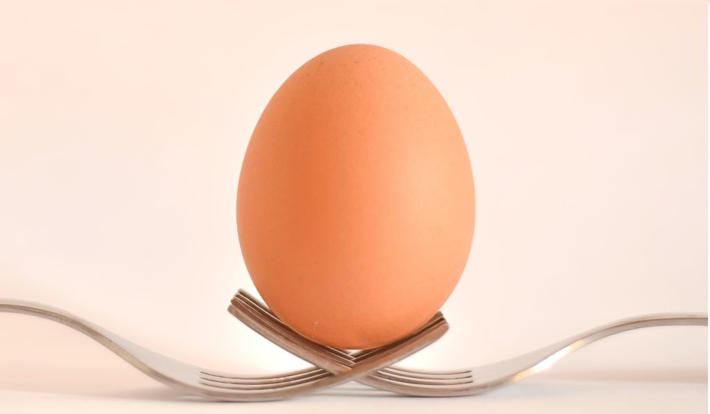egg-food-forks-17609