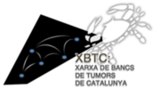 Logo XBTC