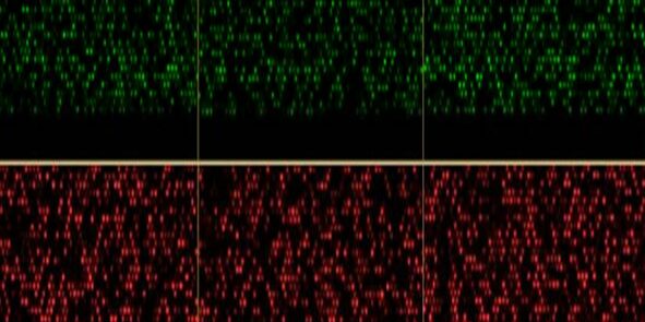 20160708_Esteller_Cell