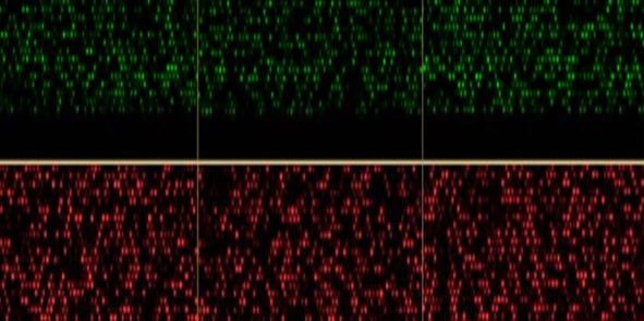 20160708_Esteller_Cell