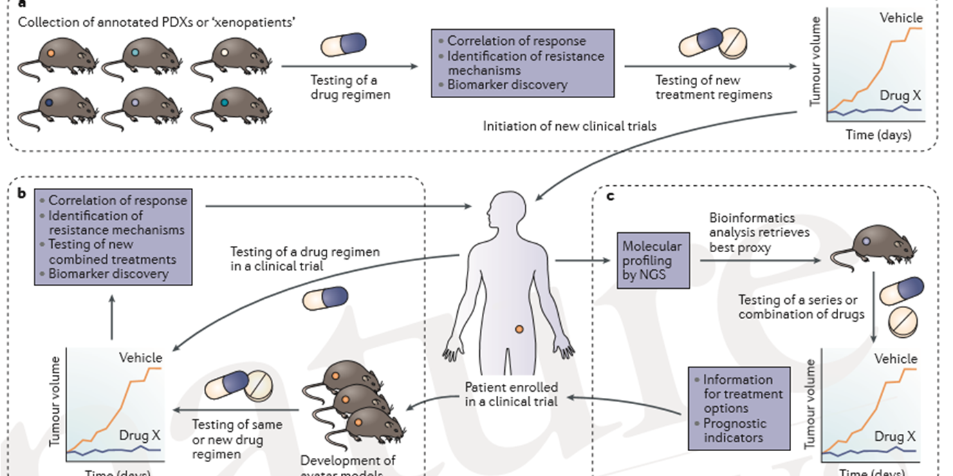 20170131_Villanueva_NatRevCancer