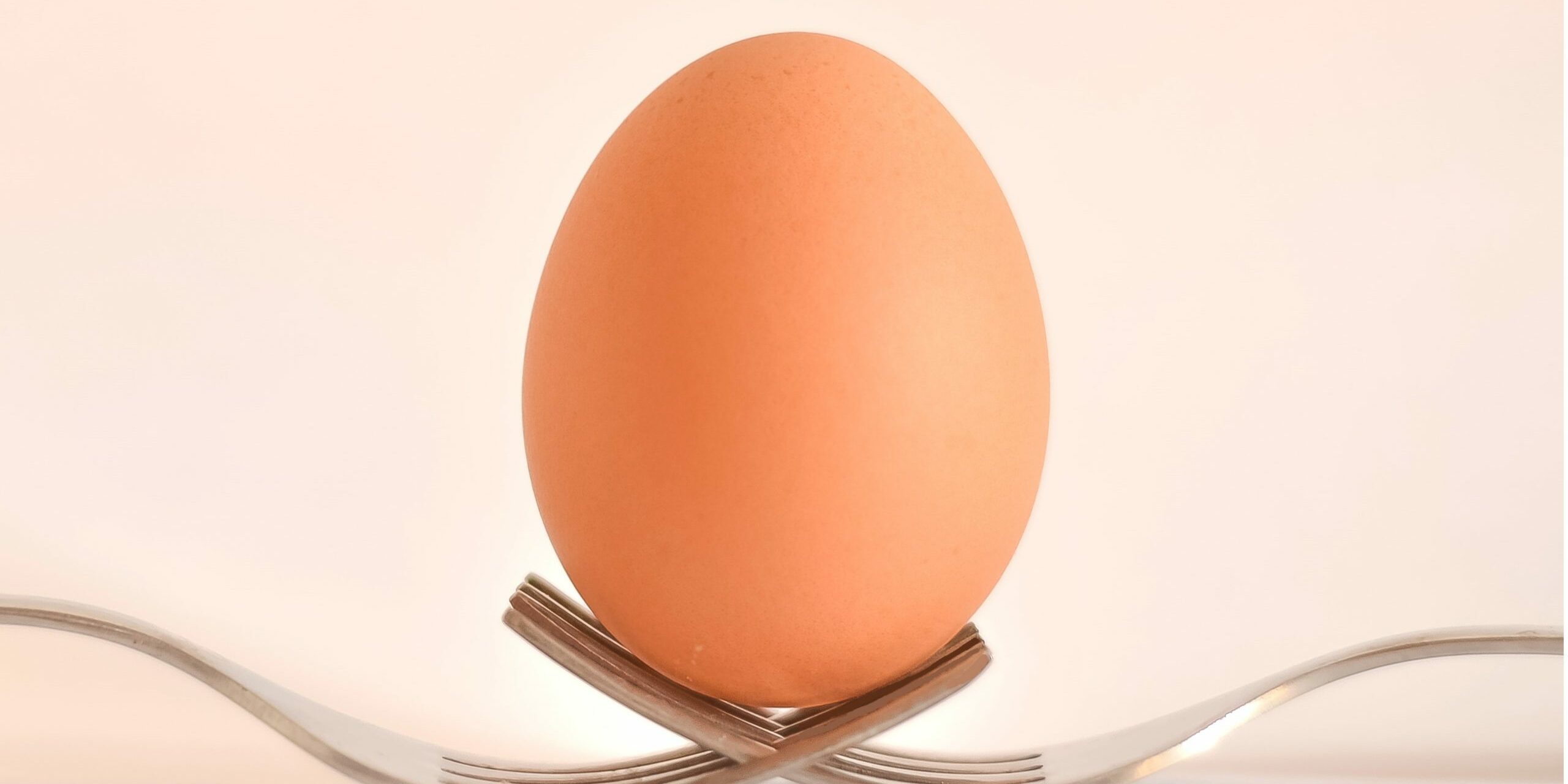 egg-food-forks-17609