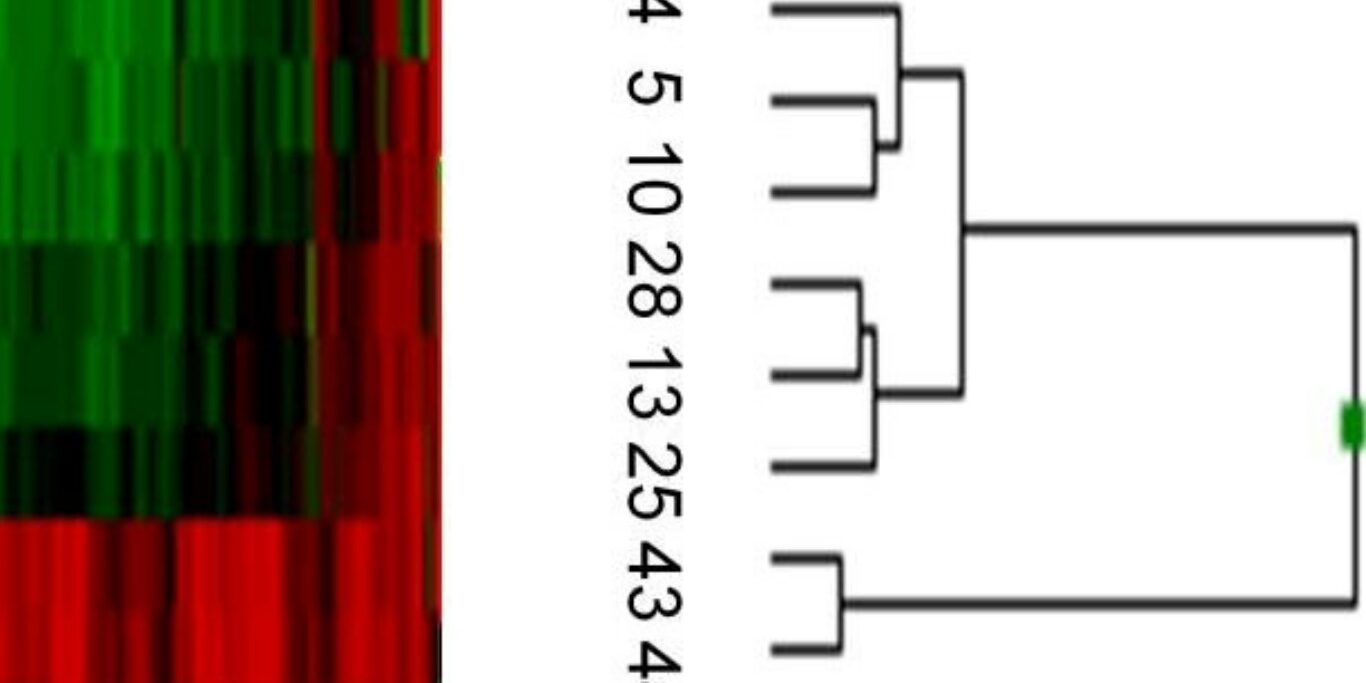 epigenoma espermatozoide (1)