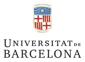 unoiversitat_de_barcelona_0