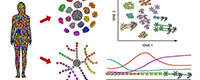 Gene-Regulation-of-Cell-Identity2