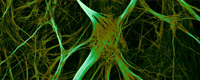Stem-cells-and-Neurodegenerative-diseases2