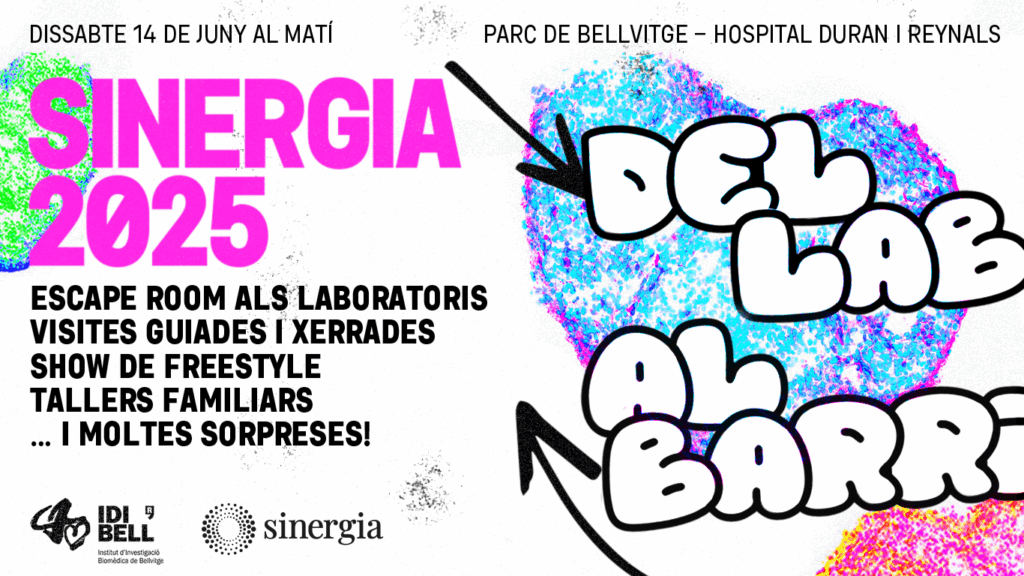 SDT Sinergia 2025_NP