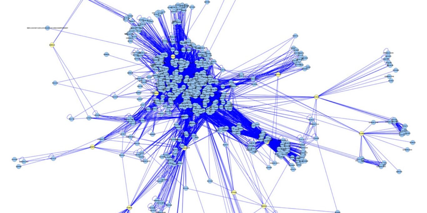 Network metastatis breast cancer (2)