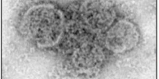 exosomes_0