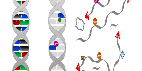 fig_cell_esteller